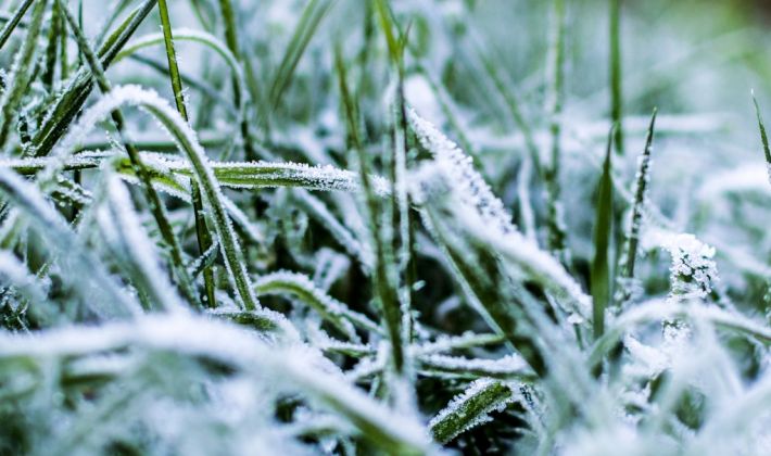 Zó maakt u uw gazon winterklaar